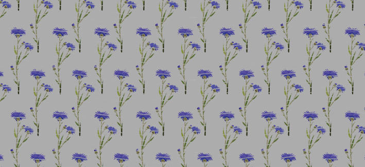 16oz Element-EN-1187